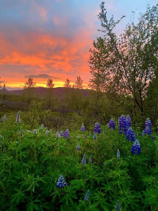 Luxury Cottage Located In The Golden Circle, Mountain View! Laugarvatn Zewnętrze zdjęcie
